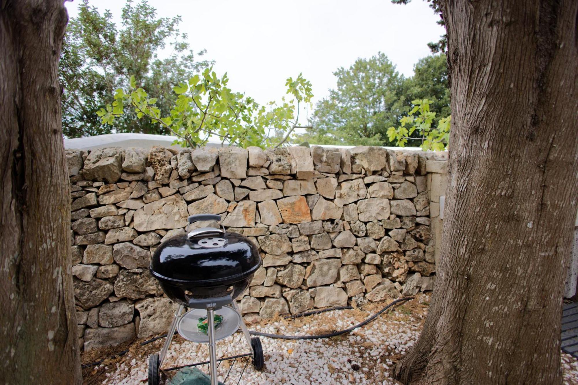 19 Secolo - Trulli Con Foresta, Bici E Barbecue 奇斯泰尼诺 外观 照片