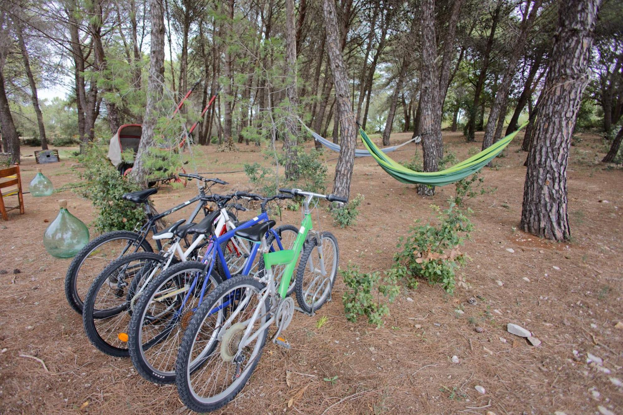 19 Secolo - Trulli Con Foresta, Bici E Barbecue 奇斯泰尼诺 外观 照片